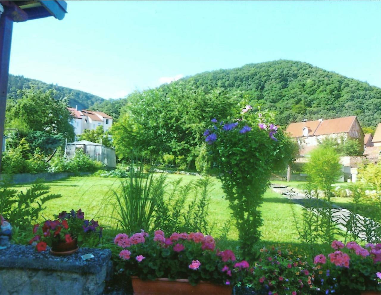 Ferienwohnung Bergblick - Inklusive Bodetal Therme Thale Exterior photo